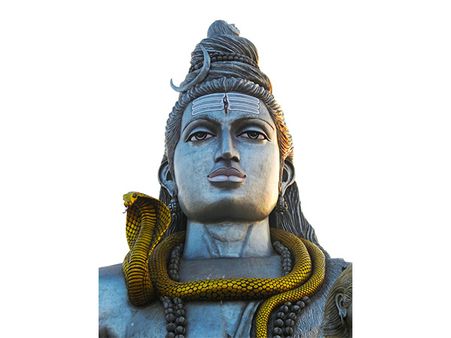 4. Shiva Is The Lord And Protector Of All Animals
