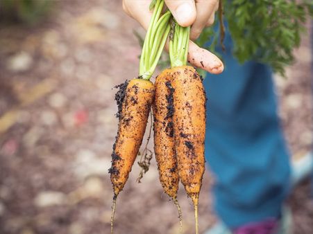 1. Shift To Organic Foods