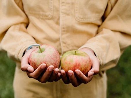 What Is Non-organic Food?