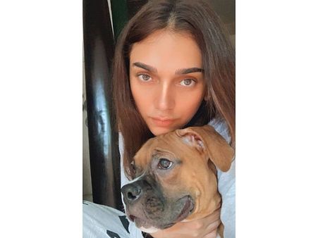 5. Highlight nose bridge