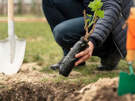 5. Develop Some Hobbies