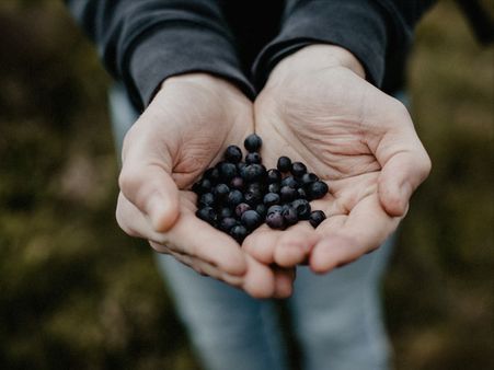 Other Reasons Why Jamun Is Good For Diabetes