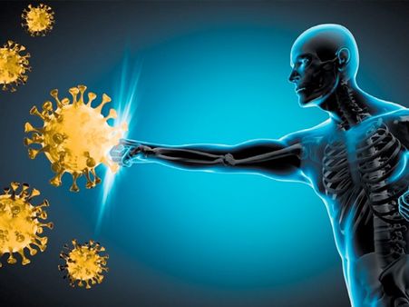 What Are Antibodies?