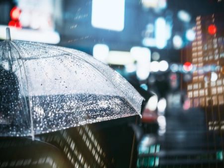 Other Monsoon Health Problems 