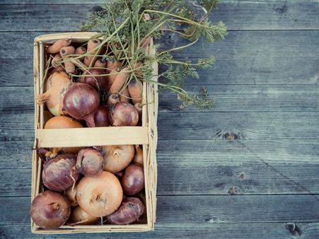 What Are Natural Toxins?