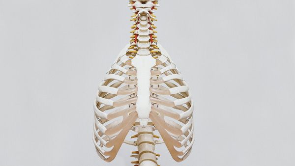 6. Treats bronchitis 6. Treats bronchitis