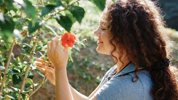 9. Good for reproductive system