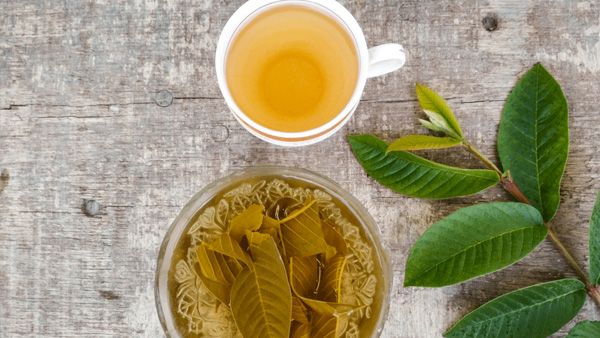 How To Prepare Guava Leaves Tea