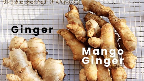 Difference Between Mango Ginger, Ginger, And Turmeric