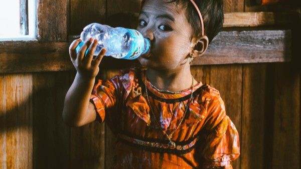 How To Prevent Dengue?