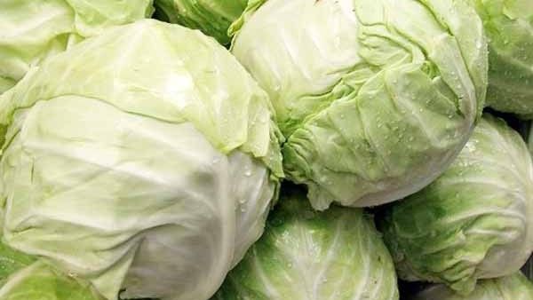 11. Cabbage (Patta gobhi)