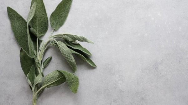 Home Remedies For Ringworm Infection