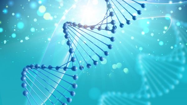 Causes Of Rett Syndrome