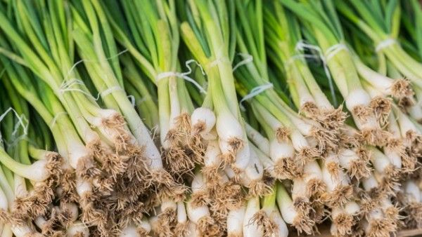 9. Green Onions (Scallions)