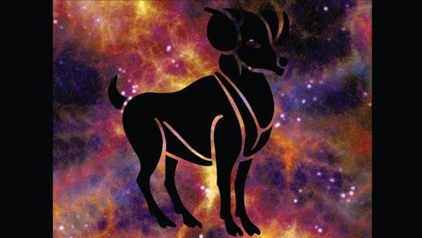 Capricorn: 22 December - 19 January