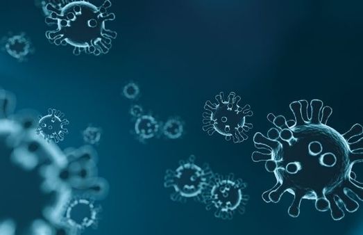 What Is Rift Valley Fever?