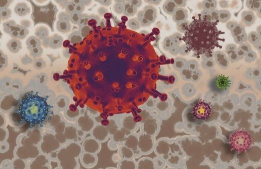 What Are The Signs and Symptoms of Rift Valley Fever?