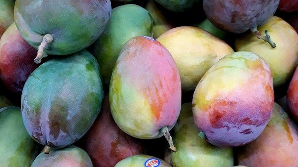 Types Of Induced Ripening In Mangoes