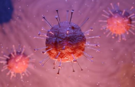 Can RVF Cause Another Pandemic? 