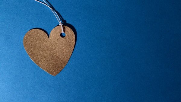 Health Benefits Of Morel Mushrooms