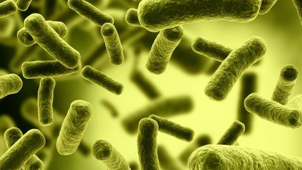 How To Prevent Shigella Infection?