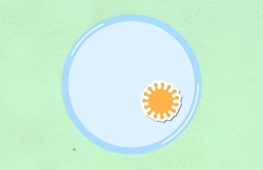 What Is Toxoplasmosis? 