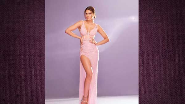 Corset Bodice Bodycon 