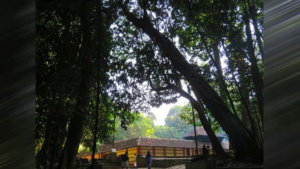 4. Iringole Bhagavathy Temple