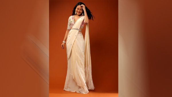 Minimal Embroidery Saree