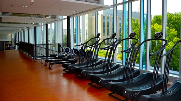 9. Gym Equipment