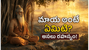 ఆధ్యాత్మిక గ్రంథాల్లో చెప్పిన 'మాయ’ అంటే నిజంగా ఏమిటి? ఆధ్యాత్మిక గ్రంథాల్లో చెప్పిన 'మాయ’ అంటే నిజంగా ఏమిటి?