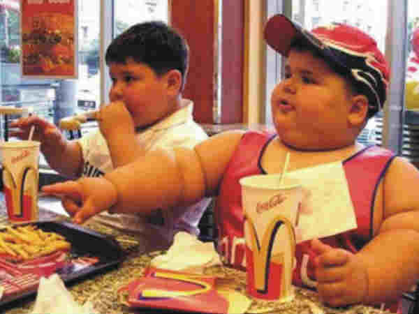 7 - મેદસ્વિતાની સમસ્યા - જાને ક્યા હોગા રામા રે...