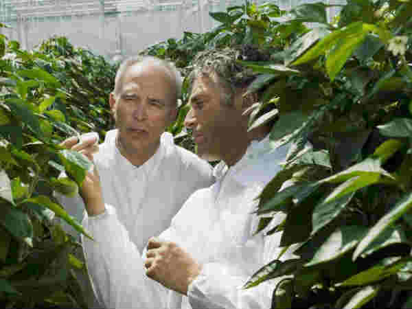 4 - ફૂડ સાયન્સ