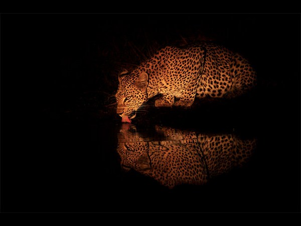 બેસ્ટ અને સુંદર રિફ્લેક્શન ફોટોગ્રાફી