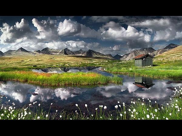 બેસ્ટ અને સુંદર રિફ્લેક્શન ફોટોગ્રાફી