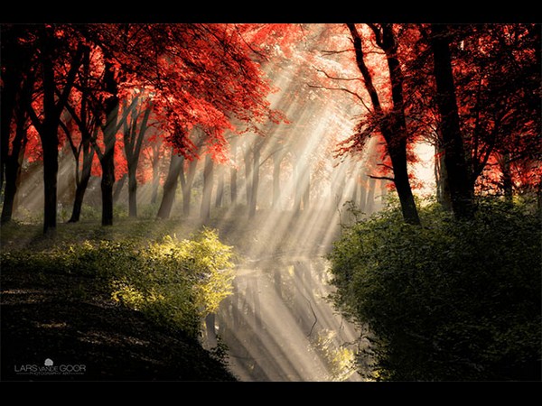 બેસ્ટ અને સુંદર રિફ્લેક્શન ફોટોગ્રાફી