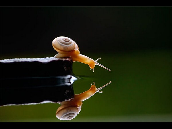 બેસ્ટ અને સુંદર રિફ્લેક્શન ફોટોગ્રાફી