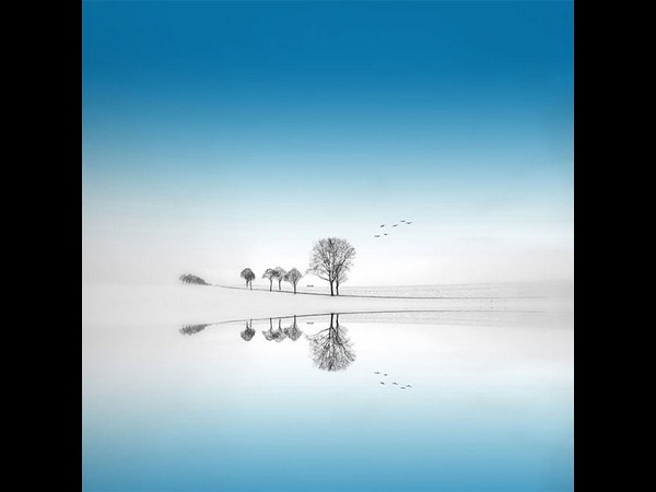 બેસ્ટ અને સુંદર રિફ્લેક્શન ફોટોગ્રાફી