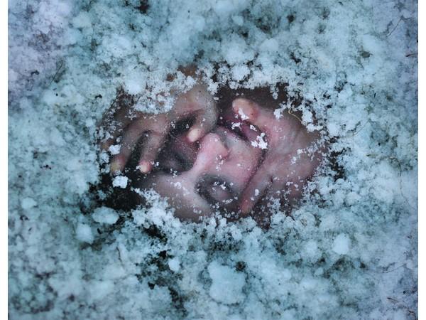 Ben Zank Photography