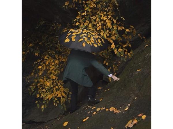 Ben Zank Photography