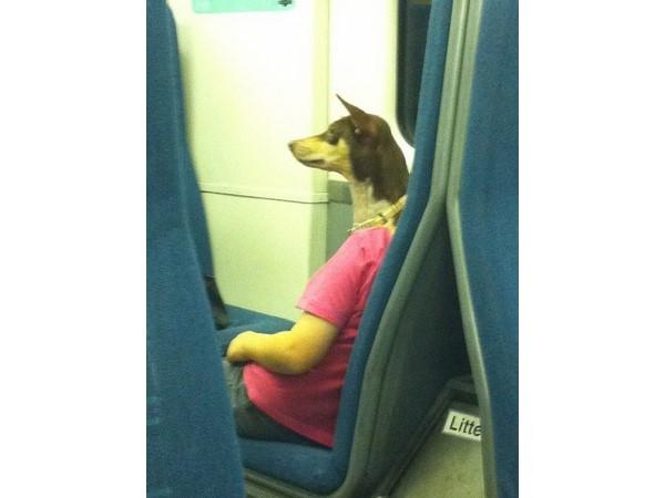 જ્યારે પરફેક્ટ ટાઇમીંગ હોય તો તસવીર આવી આવે છે