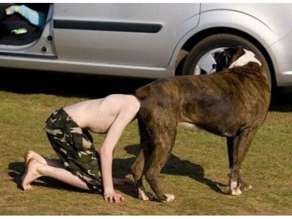 જ્યારે પરફેક્ટ ટાઇમીંગ હોય તો તસવીર આવી આવે છે...