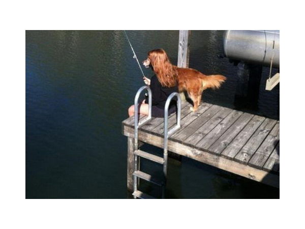 જ્યારે પરફેક્ટ ટાઇમીંગ હોય તો તસવીર આવી આવે છે.