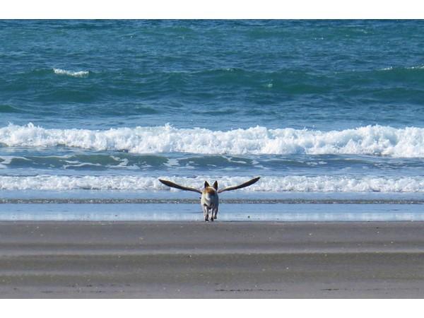 જ્યારે પરફેક્ટ ટાઇમીંગ હોય તો તસવીર આવી આવે છે