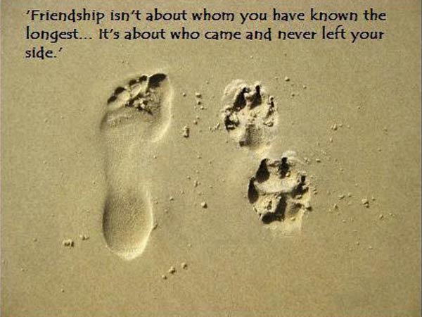 આ દિવસ પ્રત્યે ઘૃણા કેમ?