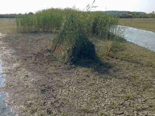 Best Photographs Of Best Photographers