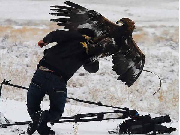 Best Photographs Of Best Photographers