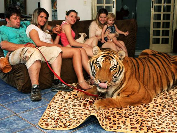 એક થા ટાઇગર