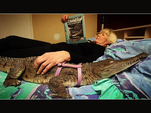 રાતની વાર્તા સાંભળીને ઊંઘે છે આ મગર