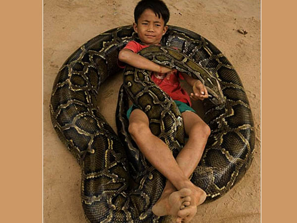 અજગર છે આ બાળકનો બેસ્ટ ફ્રેન્ડ